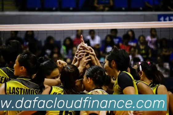 大发彩票平台生态图