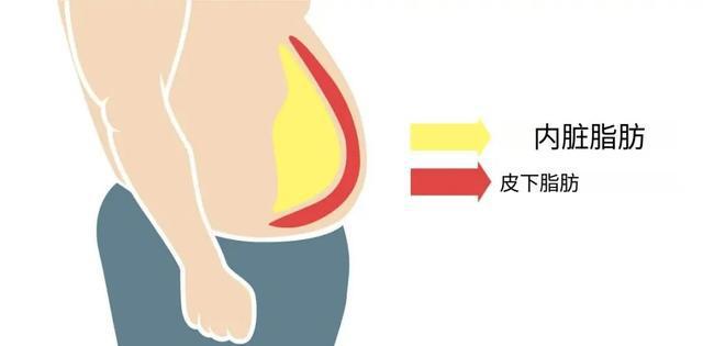 最科学的体测方法与身体成分解析”瓦力棋牌试玩“精准掌握身体密码：(图4)